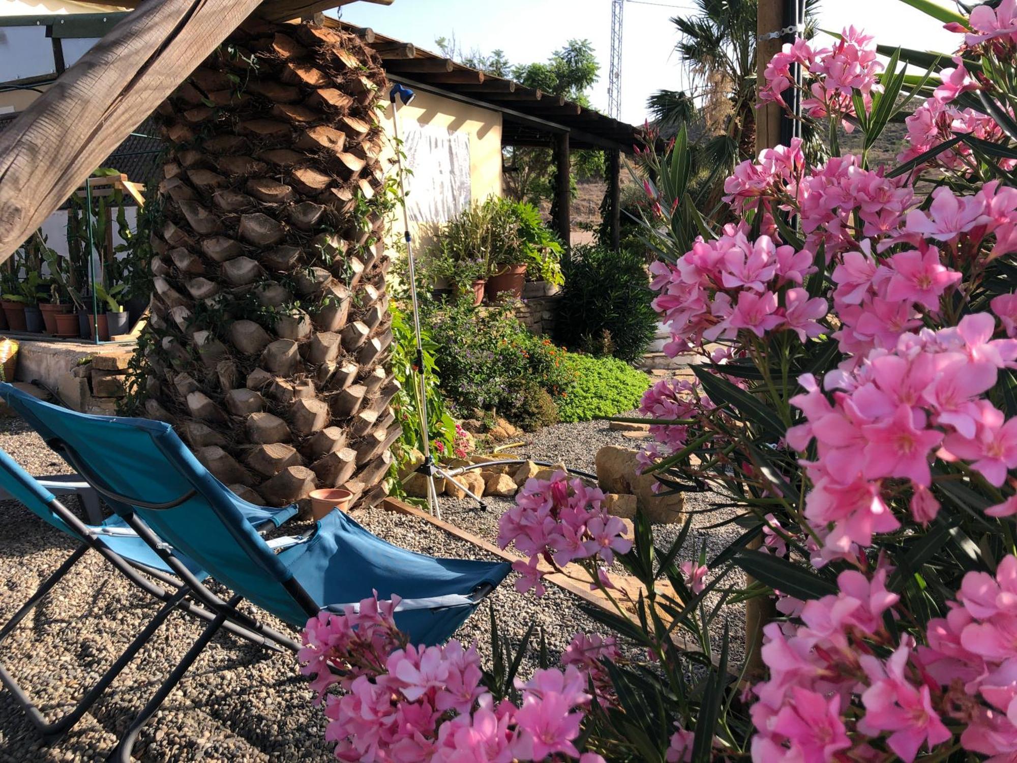 Hotel Cortijo Dos Santos Valle de Abdalagís Exteriér fotografie